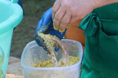 IMG_1157_1000x609