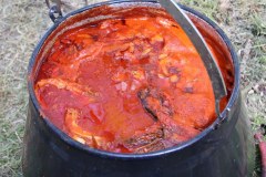 IMG_1217_1000x639