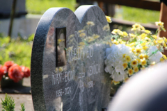 IMG_7353_1024x683