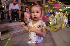 IMG_2540_1024x683