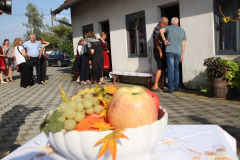 IMG_6710_1024x683