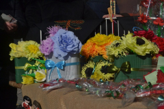 DSC_0319_1024x683