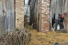 08a31484-adad-4f1b-8caa-11858ab0a107_606x768