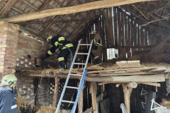 b21f8f25-d098-4750-8720-1327c2593ee8_622x768