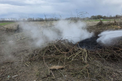 c0dcb3d6-7bec-4f8e-83ac-98fea98c1bea_1024x670