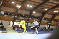 IMG_6531_1024x683