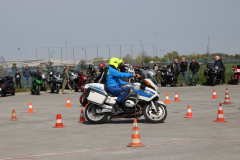 IMG_5850_1024x663