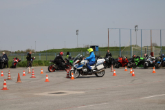 IMG_5851_1024x683