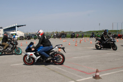 IMG_5855_1024x500