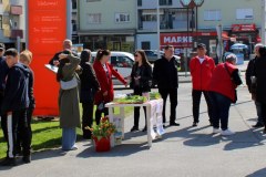 IMG_8946_1024x468