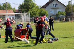 IMG_4838_1024x513