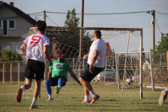 IMG_9263_1024x683