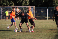 IMG_9345_1024x683