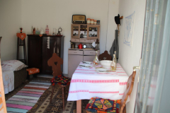IMG_2842_1024x683