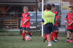 IMG_1258_1024x683