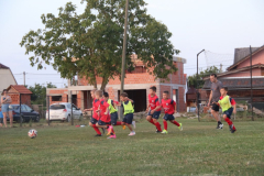IMG_1265_1024x683