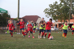 IMG_1272_1024x683