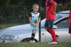 IMG_1361_1024x683