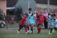 IMG_1375_1024x683