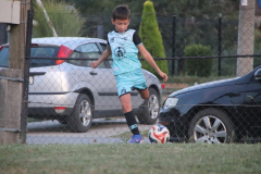 IMG_1390_1024x683