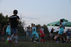 IMG_1398_1024x683