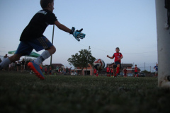 IMG_1414_1024x683