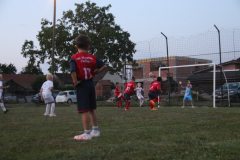 IMG_1459_1024x683