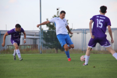 IMG_5650_1024x683