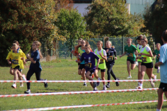IMG_8683_1024x683