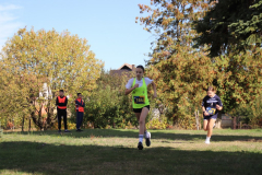 IMG_8684_1024x683