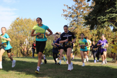 IMG_8688_1024x683
