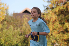 IMG_8695_1024x683