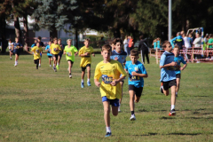 IMG_8750_1024x683