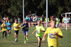 IMG_8753_1024x683
