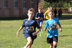 IMG_8766_1024x683