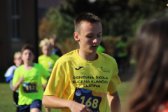 IMG_8767_1024x683