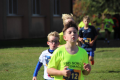 IMG_8768_1024x683