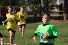 IMG_8771_1024x683