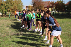 IMG_8773_1024x683