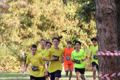 IMG_8831_1024x683