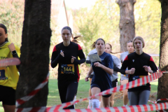IMG_8901_1024x683