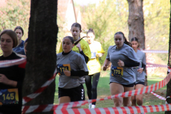 IMG_8902_1024x683