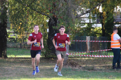 IMG_8983_1024x683