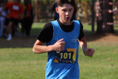 IMG_9029_1024x683
