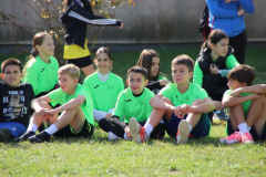 IMG_9041_1024x683