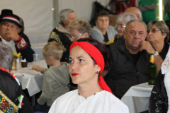 IMG_2230_1012x768