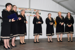 IMG_2236_1024x684