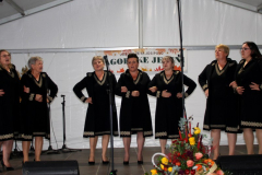 IMG_2248_1024x532