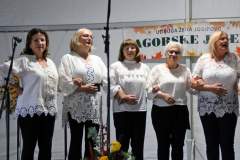 IMG_2272_1024x657