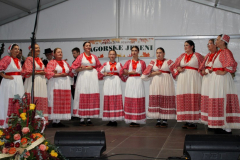 IMG_2284_1024x545